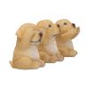 Three Wise Golden Labradors 7.5cm Dogs Sale Items