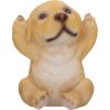 Three Wise Golden Labradors 7.5cm Dogs Sale Items