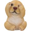 Three Wise Golden Labradors 7.5cm Dogs Sale Items