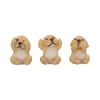 Three Wise Golden Labradors 7.5cm Dogs Sale Items