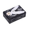 Owl Messenger Box 14cm Owls NEMESIS NOW | EASTER SALE