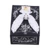 Owl Messenger Box 14cm Owls NEMESIS NOW | EASTER SALE
