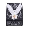 Owl Messenger Box 14cm Owls NEMESIS NOW | EASTER SALE