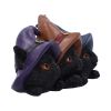 Trio of Mischief 20cm Cats Sale Items