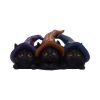 Trio of Mischief 20cm Cats Sale Items
