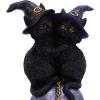 Kittens Orbuculum 19cm Cats Sale Items