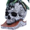 Ignisars Rule 22.5cm Dragons Last Chance to Buy