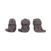 Three Wise Seals 7.5cm Animals Last Chance to Buy