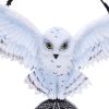 Owl Talisman 20.5cm Owls Sale Items