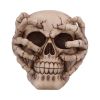 Cracked 15cm Skulls Last Chance to Buy