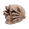 Cracked 15cm Skulls Last Chance to Buy