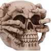 Cracked 15cm Skulls Last Chance to Buy