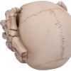 Cracked 15cm Skulls Last Chance to Buy