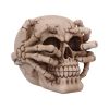 Cracked 15cm Skulls Last Chance to Buy