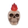 Hot-Headed 19cm Skulls Last Chance to Buy