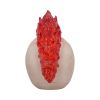 Hot-Headed 19cm Skulls Last Chance to Buy