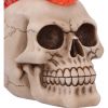 Hot-Headed 19cm Skulls Last Chance to Buy