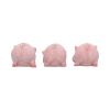 Three Wise Playful Pigs 8.4cm Animals Last Chance to Buy