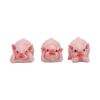 Three Wise Playful Pigs 8.4cm Animals Last Chance to Buy