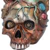 Cardiac Cranium 17.5cm Skulls Gifts Under £100