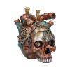 Cardiac Cranium 17.5cm Skulls Gifts Under £100