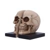 Final Chapter Bookends 15cm Skulls Last Chance to Buy