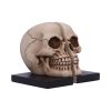 Final Chapter Bookends 15cm Skulls Last Chance to Buy