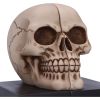 Final Chapter Bookends 15cm Skulls Last Chance to Buy