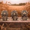 Three Wise Gold Highland Cows Unspecified Gifts Under £100
