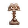 Last Light Lamp (Bone) Skulls Halloween Party