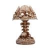 Last Light Lamp (Bone) Skulls Halloween Party