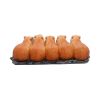 Capybara Herd Animals New Arrivals