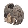 Angels Rest 20cm Angels Last Chance to Buy
