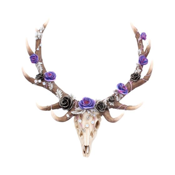 Antlers of Eden 45cm Animal Skulls Out Of Stock