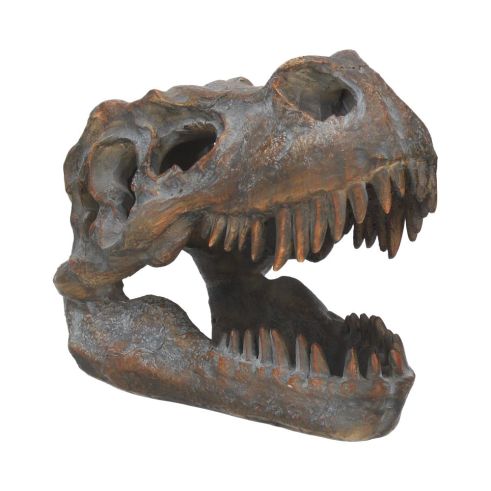Tyrannosaurus Rex Skull Freestanding 16cm Dinosaurs Stock Arrivals
