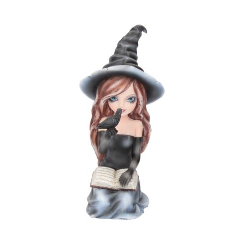 Regan 15cm Witches Sale Items