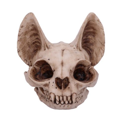 Bastet's Secret 15cm Animal Skulls Last Chance to Buy