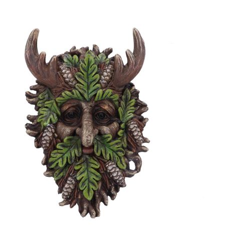 Bryn 20.8cm Tree Spirits Last Chance to Buy