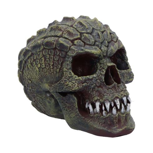 Reptillian 17cm Skulls Last Chance to Buy