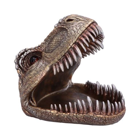 Tyrannosaurus Rex Dish 24cm Dinosaurs Last Chance to Buy
