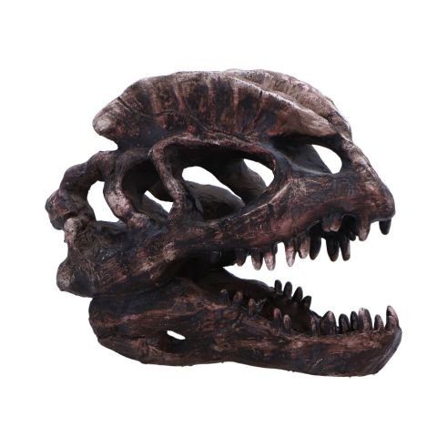Dilophosaurus Skull 16cm Dinosaurs Top 200 None Licensed