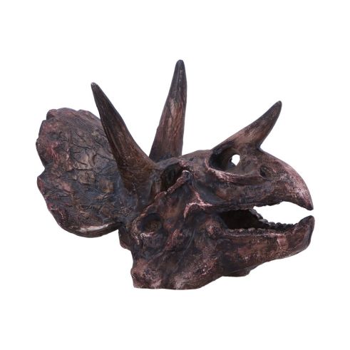 Triceratops Skull 14.5cm Dinosaurs Top 200 None Licensed