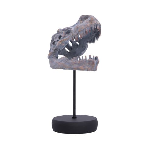 Tyrannosaurus Rex Skull on Plinth Dinosaurs Halloween Party