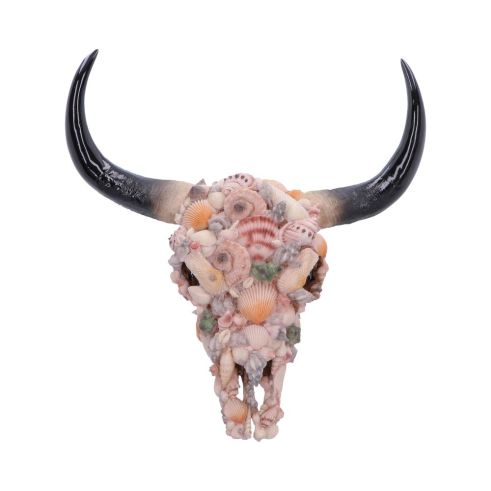 Ocean Crown Animal Skulls Stock Arrivals