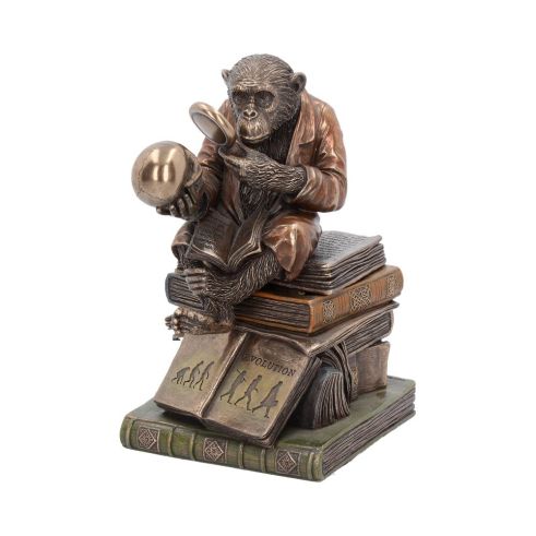 Darwinism of Evolutionary Theory 17.5cm Animals Last Chance to Buy