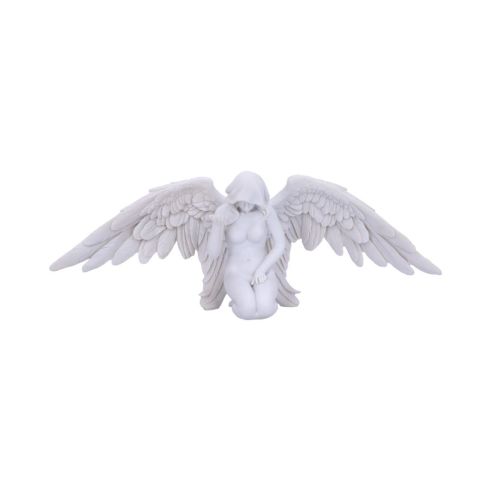 Angels Offering 38cm Angels Last Chance to Buy