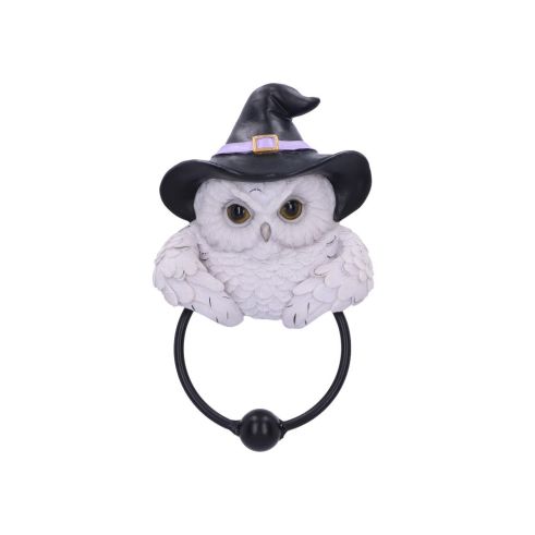 Snowy Magic Door Knocker 21cm Owls Sale Items