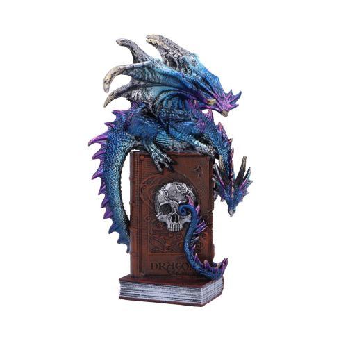 A Tale of Dragons 22cm Dragons Last Chance to Buy