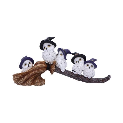 Feathered Broomstick 26cm Owls Sale Items