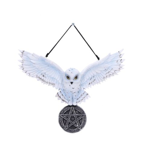 Owl Talisman 20.5cm Owls Sale Items